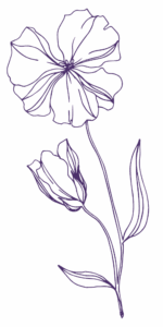 A simple line drawing of a flower with three petals, accompanied by two smaller buds and elongated leaves on a single stem.
