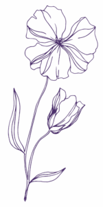 A simple line drawing of a flower with two blooms and several leaves.